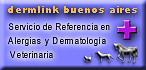 dermlink  buenos  aires 