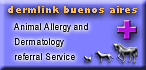 dermlink  buenos  aires 