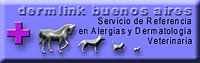dermlink  buenos  aires 