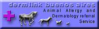 dermlink  buenos  aires 