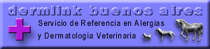 dermlink  buenos  aires 