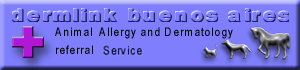 dermlink  buenos  aires 