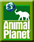 Animal Planet